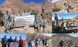 سرشماری حیات وحش لرستان آغاز شد