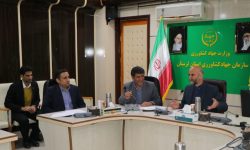 تثبیت بیش از ۸ هزار هکتار از اراضی کشاورزی لرستان