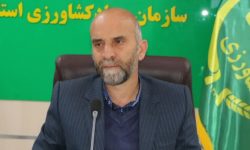 قرارگاه ویژه اشتغال فرصتی مناسب برای پروژه‌های بالای ۸۰ درصد