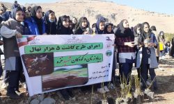 کاشت ۵ هزار نهال به یاد کودکان و زنان شهید غزه در خرم آباد