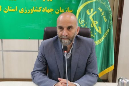 تولید ۷ هزار تن مرغ در لرستان تا پایان دی ماه