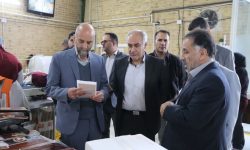 تولید سالانه ۳۰۰ تن محصول کشاورزی تولیدی در شرکت «توان یاران گلدشت» بروجرد