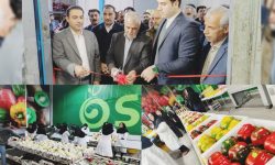 افتتاح نخستین مرکز سورتینگ محصولات صادراتی کشاورزی در لرستان