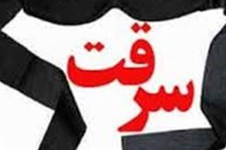 دستگیری سارقان و کشف ۱۶ فقره سرقت در خرم آباد