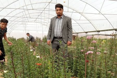 کاشت ۵۰ هزار نشاء گل برای استقبال از نوروز در خرم‌آباد