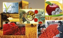 جذب ۴۰ درصد اعتبارات کشاورزی سفر هیات دولت به لرستان