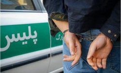 سارق مامورنما در خرم آباد دستگیر شد