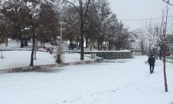 خسارت ۲۰ میلیارد ریالی بارش برف به تأسیسات شهری نورآباد
