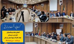 گردهمایی و نشست هم اندیشی هیأت کاراته بسیج لرستان برگزار شد