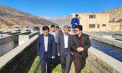 بستر سازی مناسب لرستان برای پروش آبزیان
