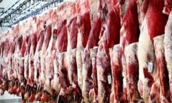 فروشگاه‌های عرضه گوشت زیر ذره بین نظارت دامپزشکی لرستان