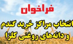 فراخوان انتخاب مراکز خرید گندم و دانه های روغنی سال ۱۴۰۳