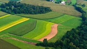 تثبیت بیش از ۳ هزار هکتار از اراضی کشاورزی لرستان