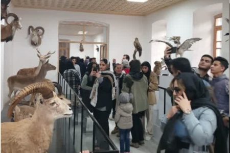 موزه تاریخ طبیعی و تنوع زیستی لرستان پر بازدیدترین موزه کشور