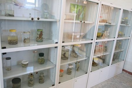 افتتاح فاز اول موزه جانورشناسی دانشگاه لرستان