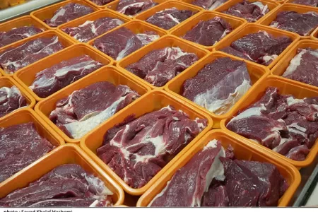 توزیع گوشت قرمز منجمد تنظیم بازار در لرستان