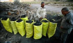 کشف ۶ تن زغال بلوط قاچاق در خرم آباد