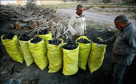 کشف ۶ تن زغال بلوط قاچاق در خرم آباد
