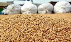 توقیف کامیون با بیش از ۱۴ تن خوراک دام قاچاق درالیگودرز