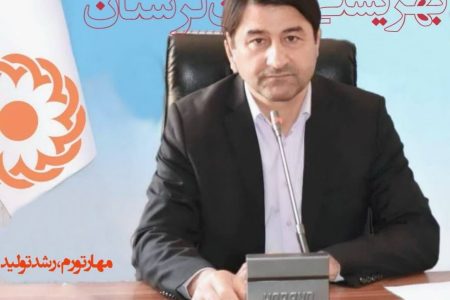 تحقق ۱۹۶ درصدی تعهد اشتغال لرستان/۱۹۲۶ شغل ایجاد شد