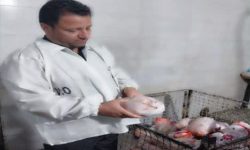 آغاز طرح نظارت بهداشتی بر بازار عید و ماه رمضان در لرستان