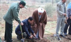 کاشت ۵۰۰ هزار اصله نهال در لرستان