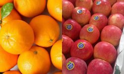 کاهش قیمت سیب و پرتقال تامسون تنطیم بازاری