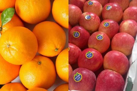 کاهش قیمت سیب و پرتقال تامسون تنطیم بازاری