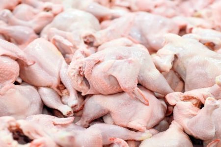 کشتار روزانه ۳۰۰ تن مرغ در لرستان