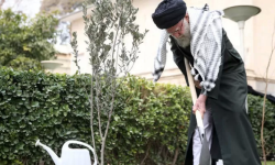 حضور در انتخابات جهاد ملت ایران