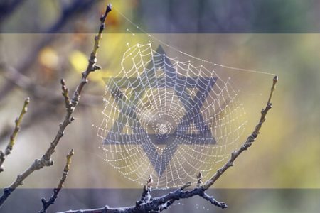 نماهنگ| سست‌تر از خانه عنکبوت