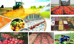 روند روبه‌رشد تولیدات حوزه کشاورزی لرستان