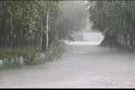 ویدیو| بارش شدید باران در خرم‌آباد