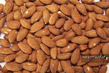 توقیف کامیون حامل بیش از ۴ تن مغز بادام در لرستان
