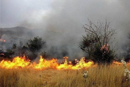 شناسایی ۱۳۰ نفر از عوامل حریق در مزارع لرستان