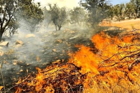 برخورد قاطع با عوامل آتش سوزی جنگل‌های لرستان