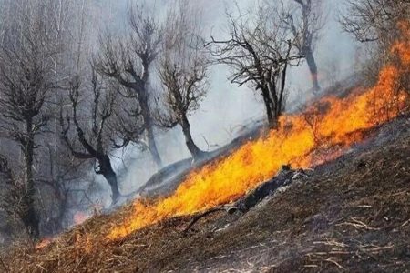 آتش سوزی همزمان در ۹ نقطه شهرستان های چگنی و کوهدشت