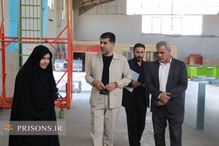 تقدیر نماینده مجلس از اشتغال‌آفرینی در زندان‌ بروجرد