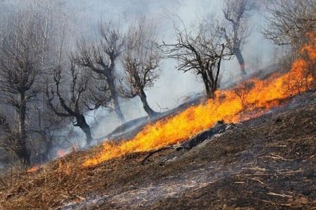 شناسایی ۵ عامل آتش‌سوزی مزارع در ازنا