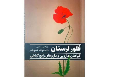 «فلور لرستان» منتشر شد