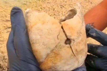 فیلم |بازگشت جمجمه ۹ هزارساله مرد دلفانی به لرستان