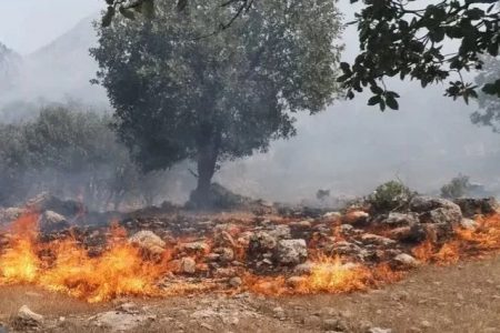 ۲۵۱ هکتار مزارع کشاورزی لرستان طعمه حریق شد