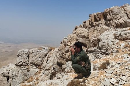سرشماری تابستانه حیات وحش در لرستان آغاز شد