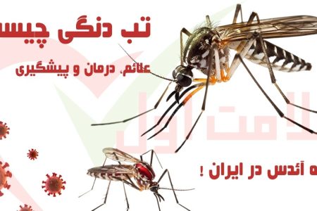 کلیپ تصویری| روش های انتقال بیماری تب دنگی کدامند؟