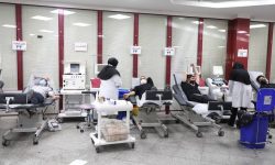 اعلام فعالیت پایگاه‌های اهدای خون لرستان در سالروز شهادت امام رضا(ع)