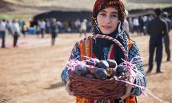 جشنواره انجیر در پلدختر برگزار می‌شود