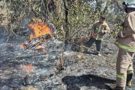 احداث ۱۲۰ کیلومتر آتش بر در منابع طبیعی بروجرد