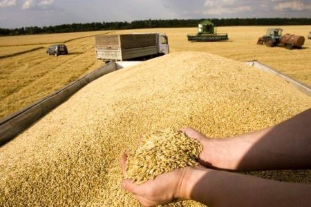 تسویه ۶۷ هزار میلیارد ریال از مطالبات گندم کاران لرستانی