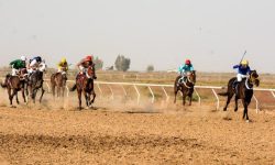 برگزاری کورس تابستانه اسب‌دوانی در لرستان