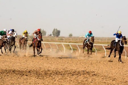 برگزاری کورس تابستانه اسب‌دوانی در لرستان